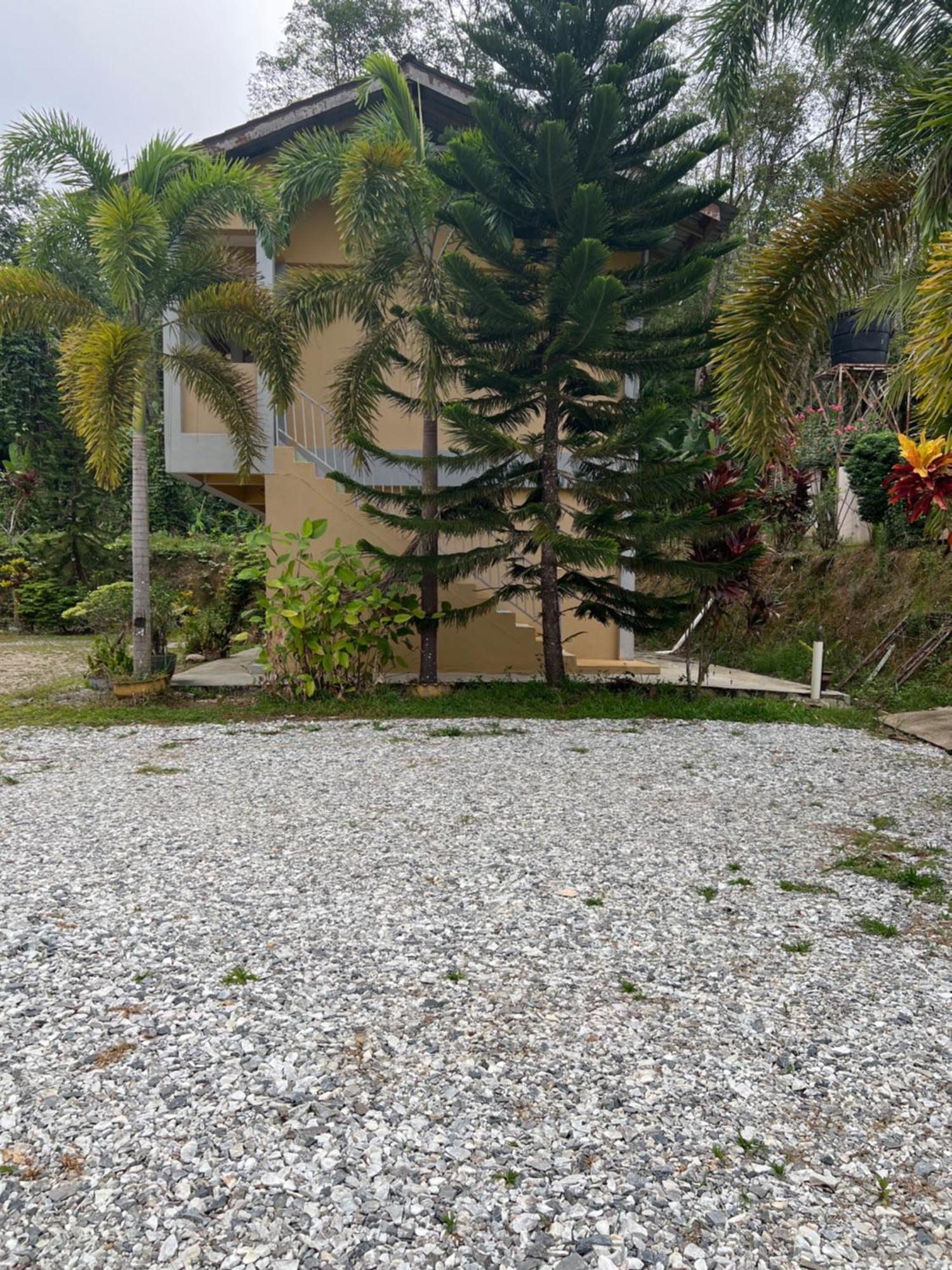 Country House Pulai Holiday Village Gua Musang Buitenkant foto